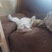 Austin Sprague - Facebook