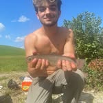 Austin Sprague - @austin.sprague007 - Instagram