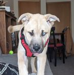 Austin Spriggs - Facebook