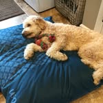 Austin Springer - @springer3358 - Instagram