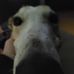 Austin Squires - Facebook