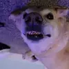 Austin Squires - @austin.squires2 - TikTok