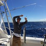 Austin Stallings - @mr.stallings - Instagram