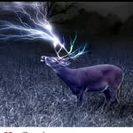 Austin Stamey - @stameyaustin - Instagram