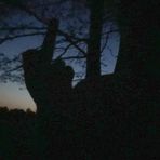 Austin Stanfield - Facebook