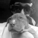 Austin Stanley - @austinmatthewstanley - Instagram
