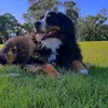 austin.stapleton - @austin.stapleton2 - TikTok