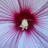 austin - @austin.star7 - TikTok
