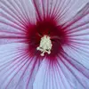 austin - @austin.star7 - TikTok