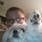 austin stark - @austi_nstark - Instagram