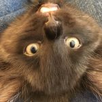 Austin Starrett - @austin.starrett.397 - Instagram