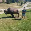 AustinStauffer - @austinstauffer._ - TikTok