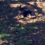 Austin Matthew Steffen - @steffen6739 - Instagram