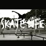 austin stein - @austinstein32 - Instagram