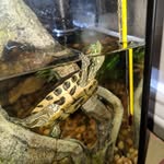 Austin Steinhice - @austinsteinhice - Instagram