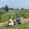 austinsteinhauer7 - @austinsteinhauer7 - TikTok