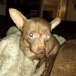 Austin Stephan - @austin.stephan.3557 - Instagram