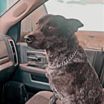 Austin Stephens - @austinstephens67 - Instagram