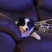 Austin Stern - Facebook