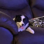 Austin Stern - @austinstern_9 - Instagram