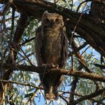 Austin Stevens - @austinstevensnaturephotography - Instagram