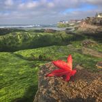 Austin Stevens - @austin_stevens_photography - Instagram