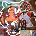 austin.stevenson - @austin.stevenson5445 - Instagram