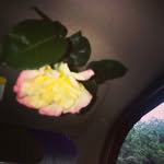 Austin Stiles - @austin.stiles - Instagram