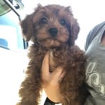 Austin - @austinstock._ - Instagram