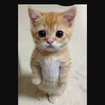 Austin - @austin.stockert - Instagram