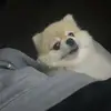 Austin Stokes - @austin.stokes7 - TikTok