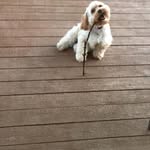 Austin Mostoller - @austin.mostoller - Instagram