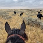 Austin Stoltz - @stoltzaustin - Instagram