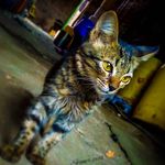 Austin stoner 🍁 - @austin_stoner385430 - Instagram