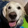 Austin Storm - @astorm5801 - TikTok
