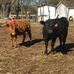 Austin Story - Facebook