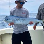 Austin Stout - @the_stout__ - Instagram