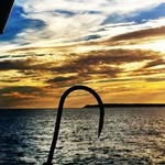 Austin Stowell - @stowell9339 - Instagram