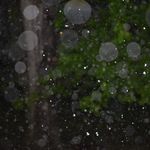 Austin - @austinstrand_photography - Instagram