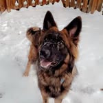 Austin Sydenstricker - @austinmichealsydenstricker - Instagram
