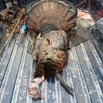 Austin Strickland - @austinstrickland143 - Instagram