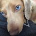 Austin StCharles Tralfaz II Talbot - Facebook