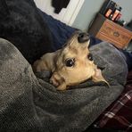 Austin Teets - Facebook