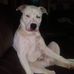 Austin Thurston - Facebook