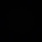 Austin Torrence - Facebook