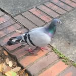 Austin Torrez - @its_ya_boi_77 - Instagram