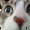 Austin Travers - @austin123997 - TikTok