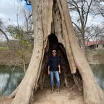 Austin Beautiful Trees - @austinbeautifultrees - Instagram
