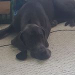 Austin Trudeau - @trudeauaustin - Instagram