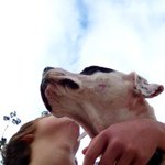 @austin_tullos - Instagram